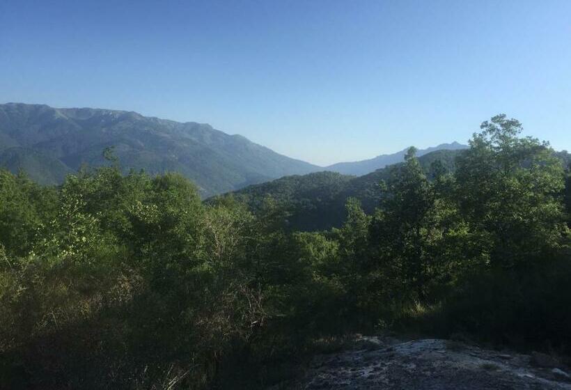 ホテル Du Tourisme