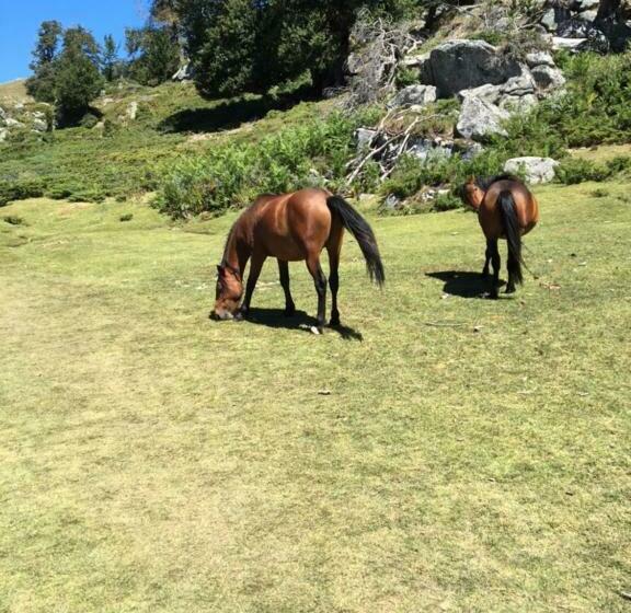 ホテル Du Tourisme