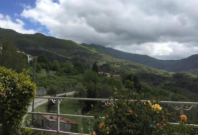 ホテル Du Tourisme