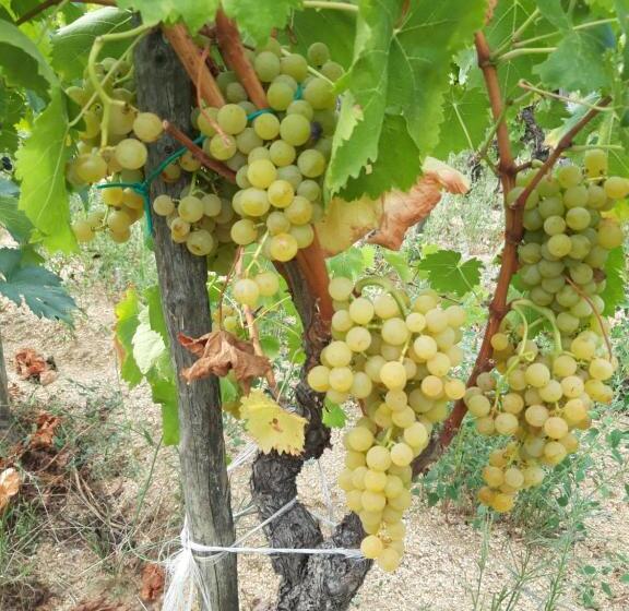 فندق Fumu Ludurru Farm Stay