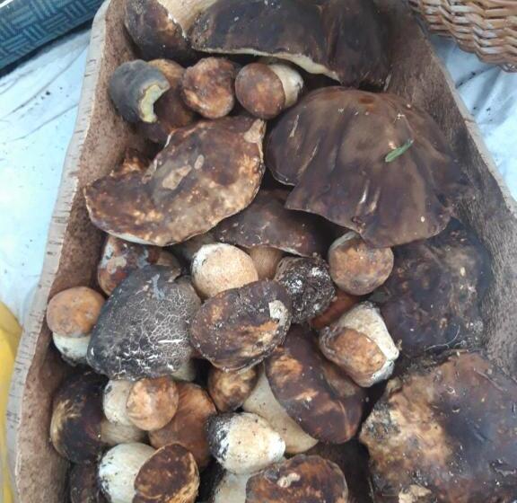 فندق Fumu Ludurru Farm Stay