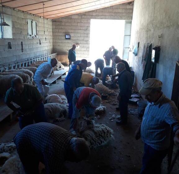 فندق Fumu Ludurru Farm Stay