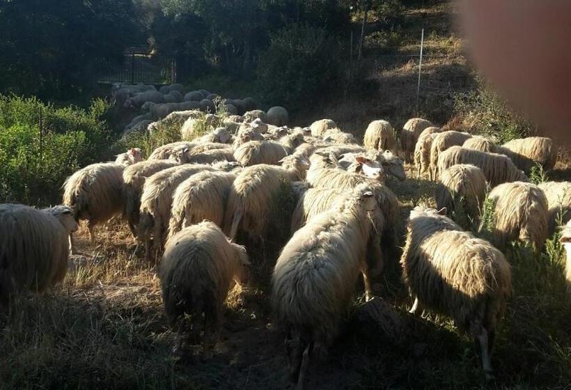 فندق Fumu Ludurru Farm Stay