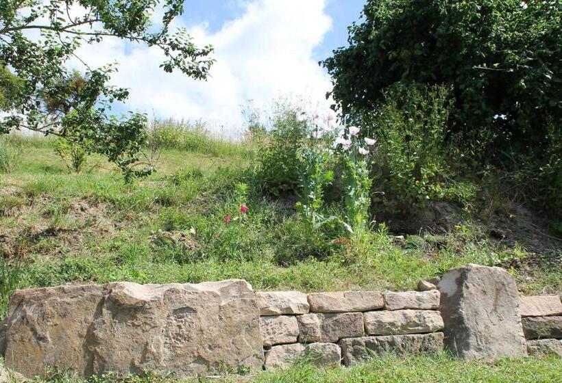 ホテル Hainhof Gaestewohnungen