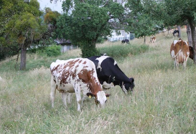 ホテル Hainhof Gaestewohnungen