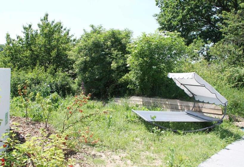 ホテル Hainhof Gaestewohnungen