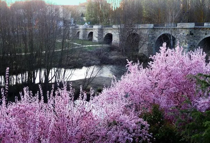 پانسیون Hostal Plaza Mayor