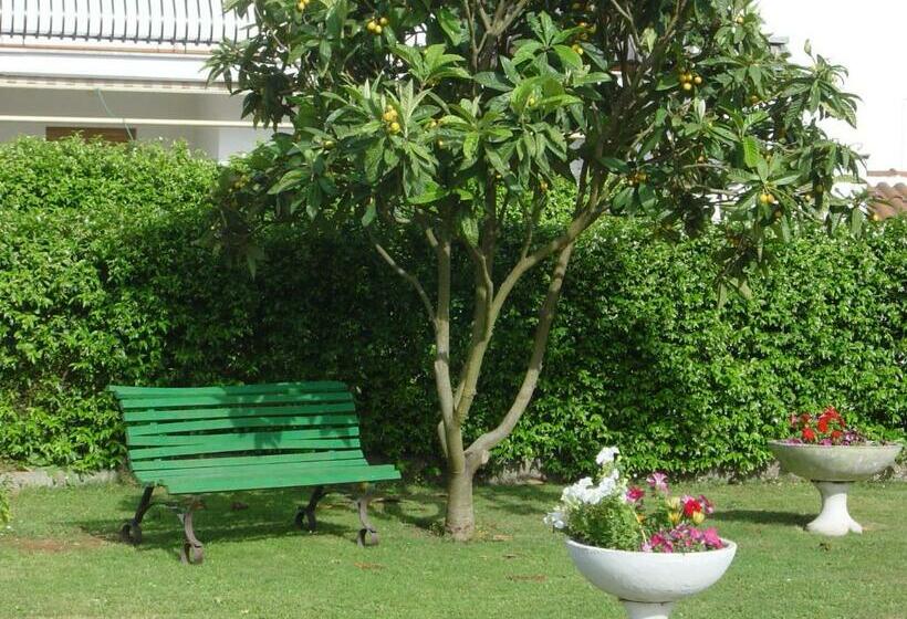 پانسیون Il Grifo