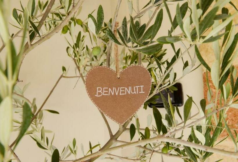 膳宿费 B&b La Ulia