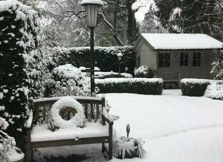 تختخواب و صبحانه Bb Jonashome