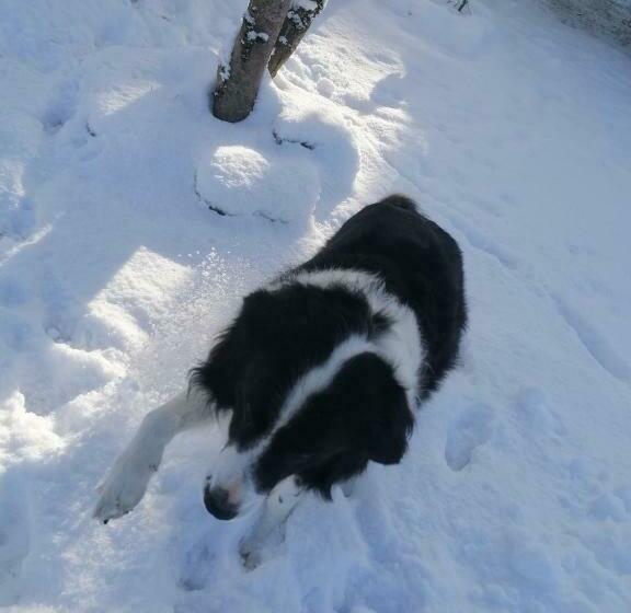 צימר Casa Giovannella