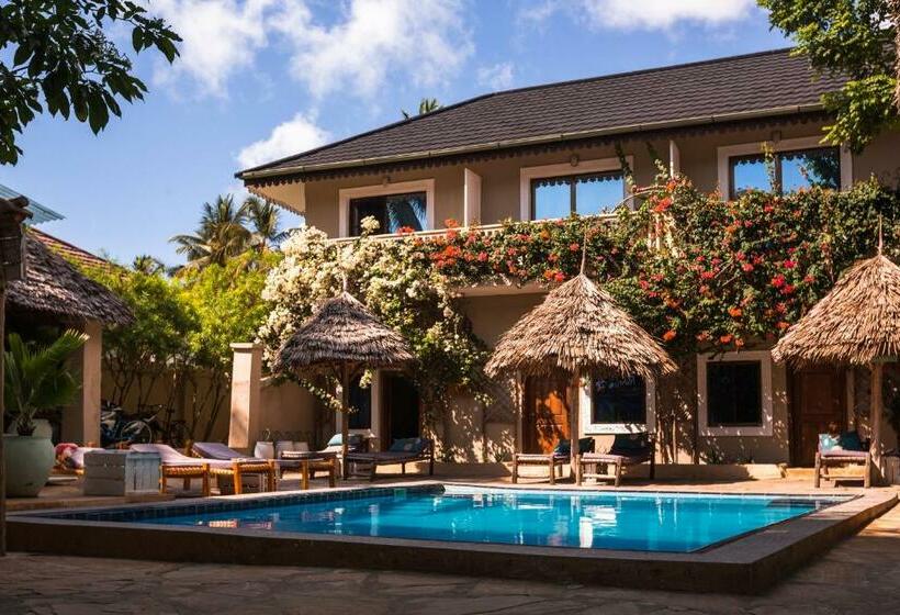 住宿加早餐  Ebb & Flow