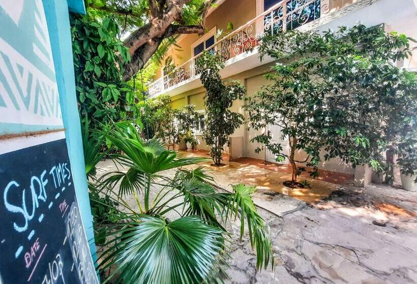 住宿加早餐  Ebb & Flow