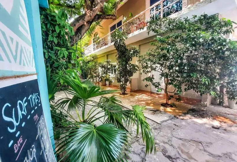 Bed & Breakfast Ebb & Flow