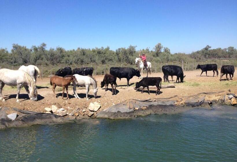 민박 Seb&laeti Guesthouse