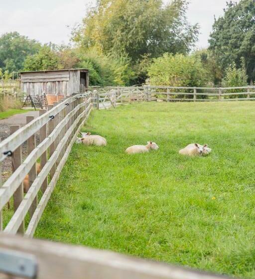 צימר Smallbrook Cottage