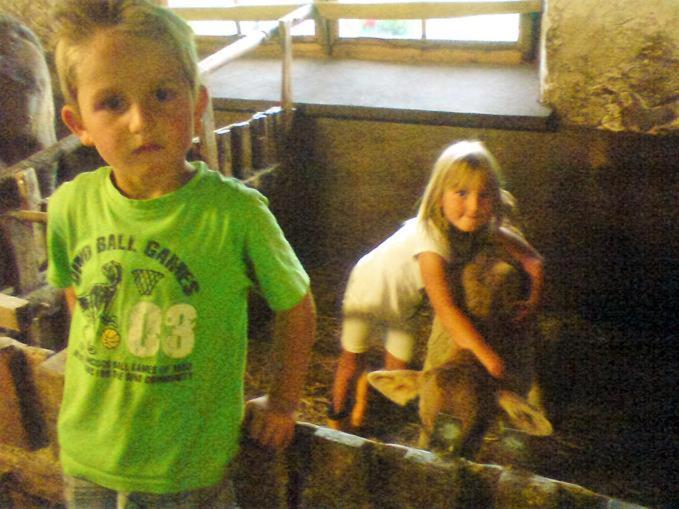 בית מלון כפרי Bio Berghof