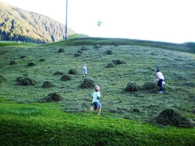 בית מלון כפרי Bio Berghof