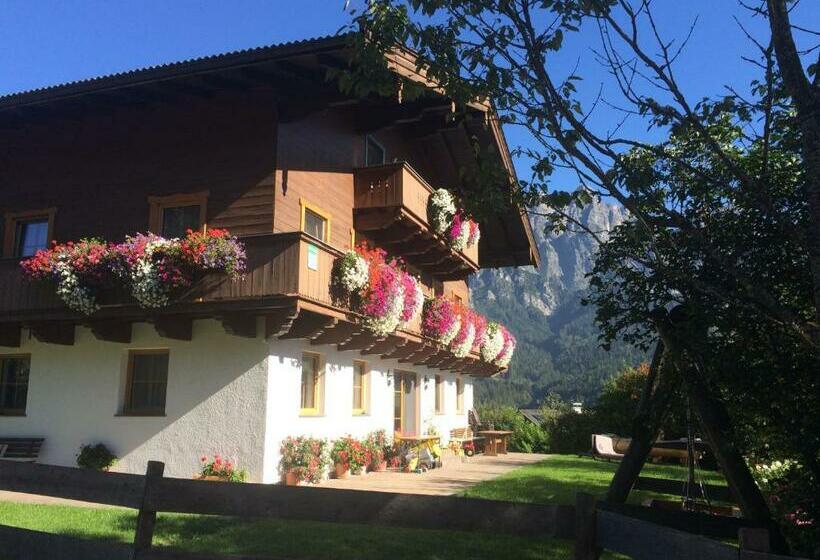 هتل Stockingbauer