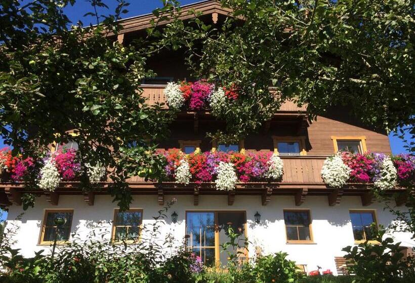 هتل Stockingbauer