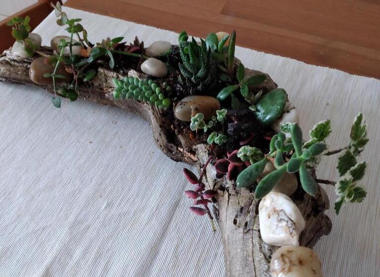 Pensão Divine House Of Graça