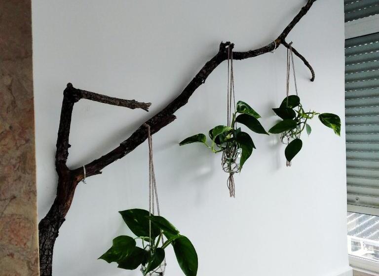 Pensão Divine House Of Graça