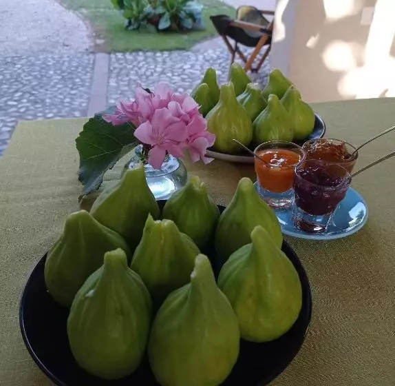 B&b I Sassetti