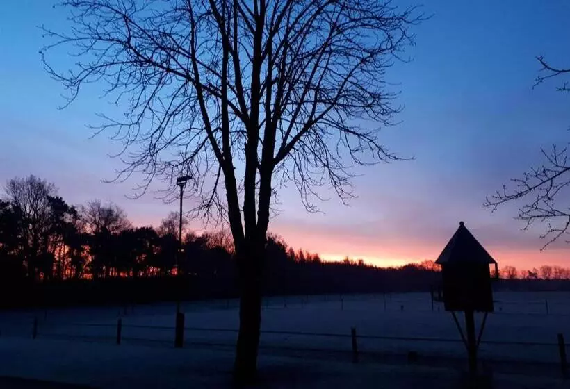 ベッドアンドブレックファースト De Hammerhoeve