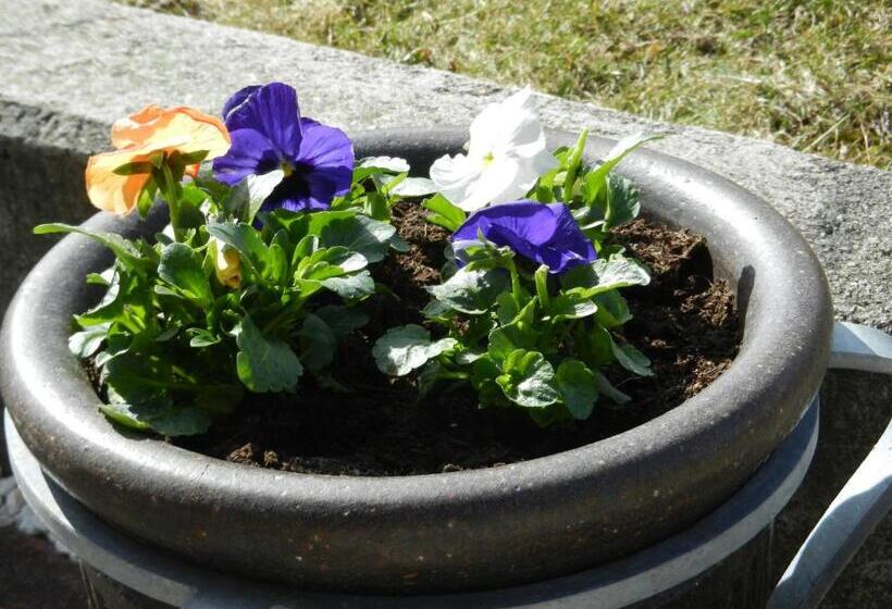 Frühstückspension Eichberger