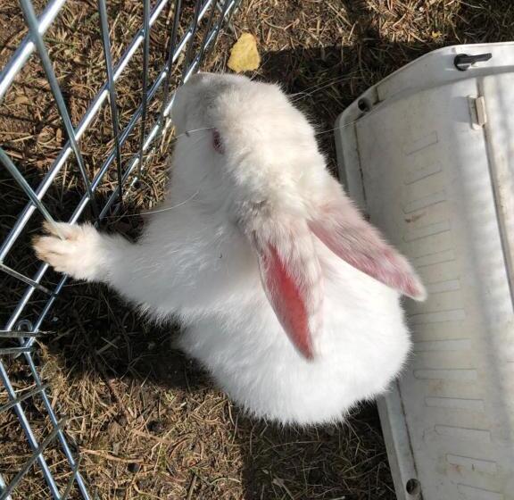 Frühstückspension Eichberger