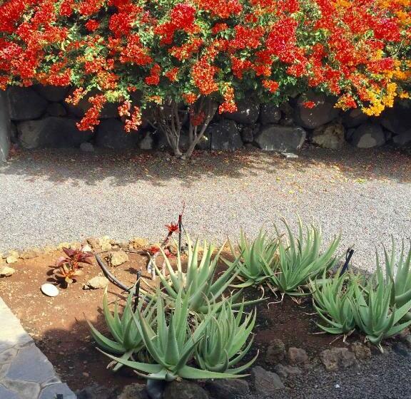 فندق Casa Rural Los Llanos Negros