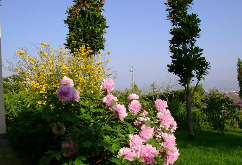 La Paloma B&b Di Charme