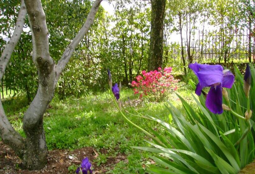 La Paloma B&b Di Charme