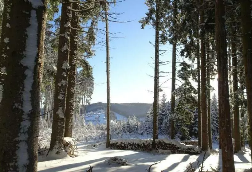 ペンション Bauernhof Hoenigshof