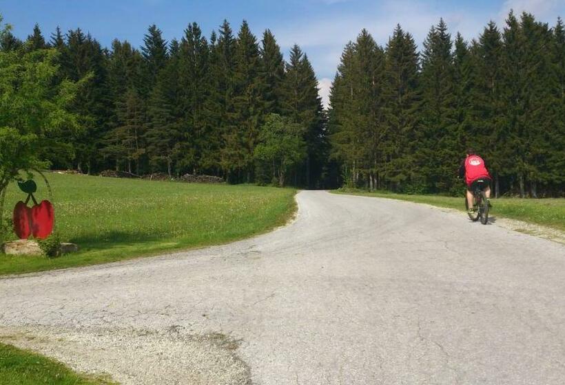 펜션 Bauernhof Hoenigshof