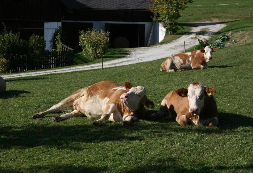 펜션 Bauernhof Hoenigshof