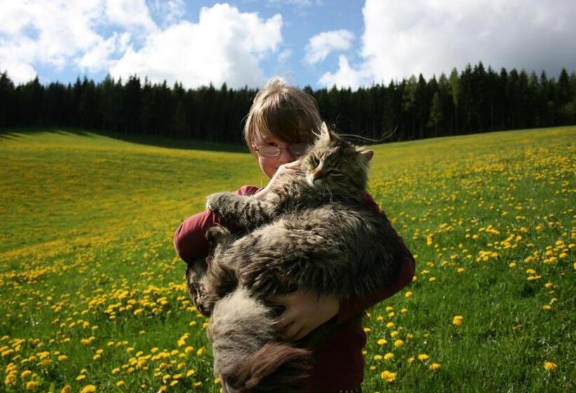 펜션 Bauernhof Hoenigshof