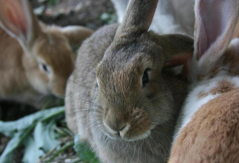펜션 Bauernhof Hoenigshof