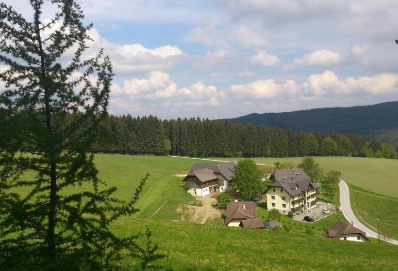 펜션 Bauernhof Hoenigshof