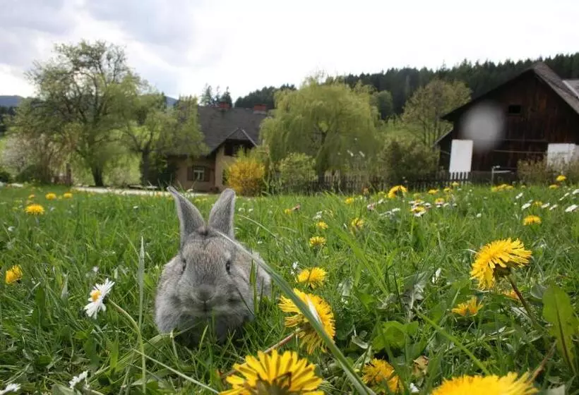 ペンション Bauernhof Hoenigshof