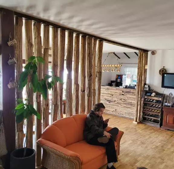 پانسیون Hanu Lu Mos Opinca