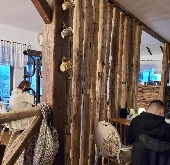 پانسیون Hanu Lu Mos Opinca