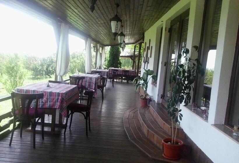 ペンション Hanu Lu Mos Opinca