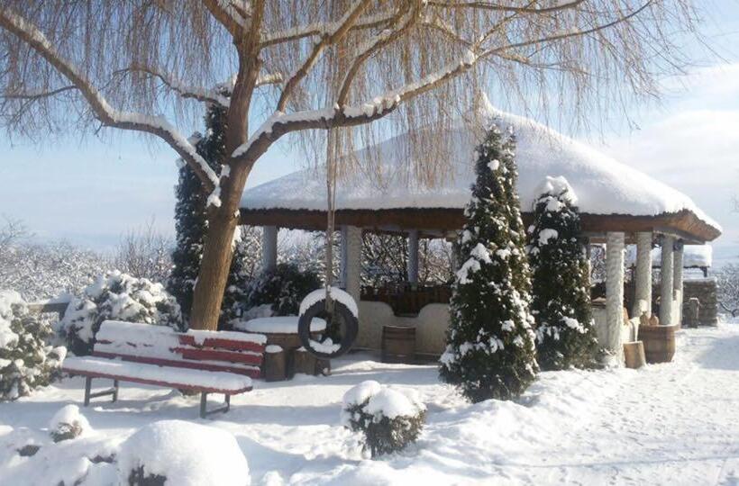 ペンション Hanu Lu Mos Opinca