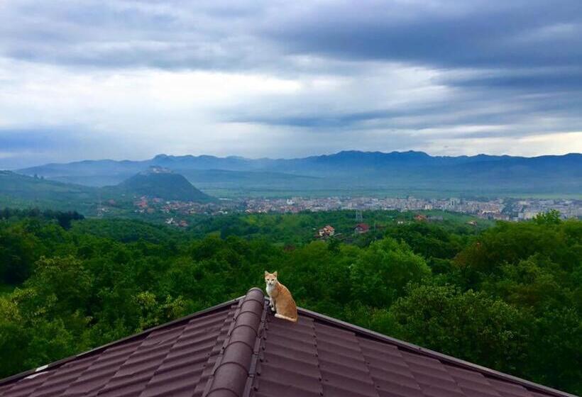 ペンション Hanu Lu Mos Opinca