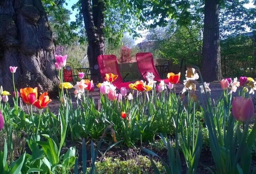 Bio Hotel Kipperquelle