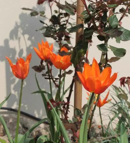 Bio Hotel Kipperquelle