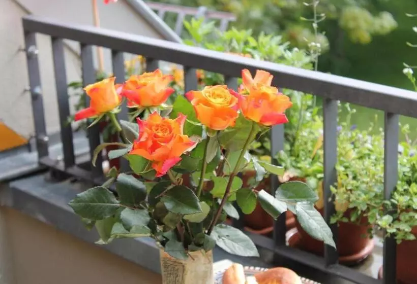 Bio Hotel Kipperquelle