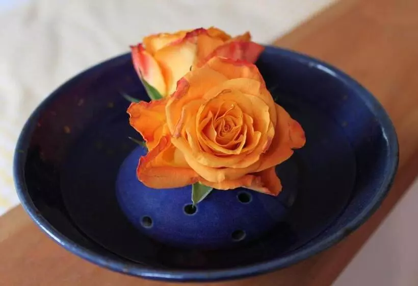 Bio Hotel Kipperquelle