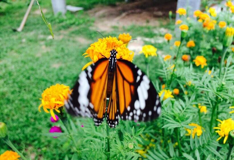 Gardenhomeresortkohjum